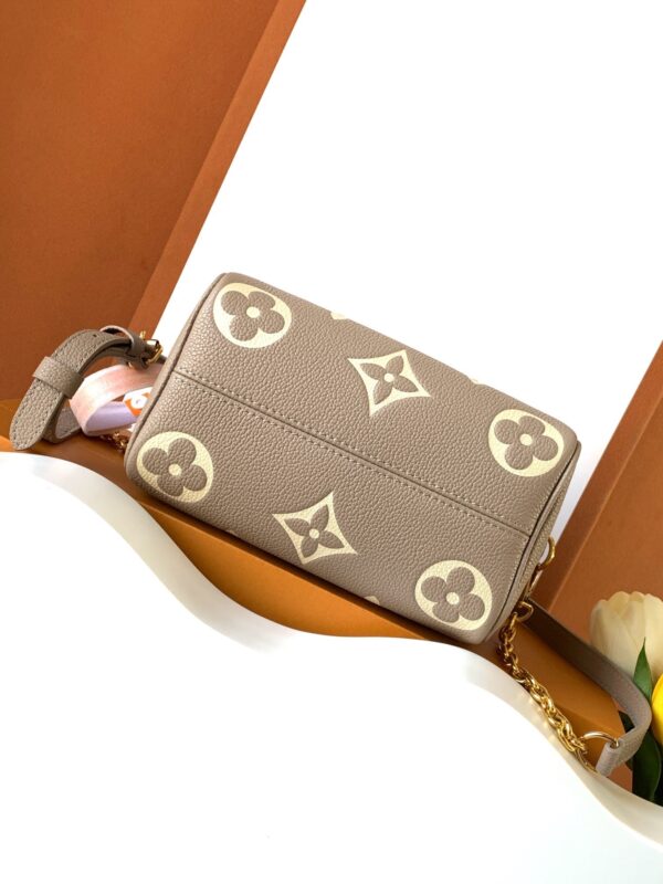 Speedy Bandoulière 20 Handbag
