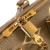 Speedy Bandoulière 20 Handbag