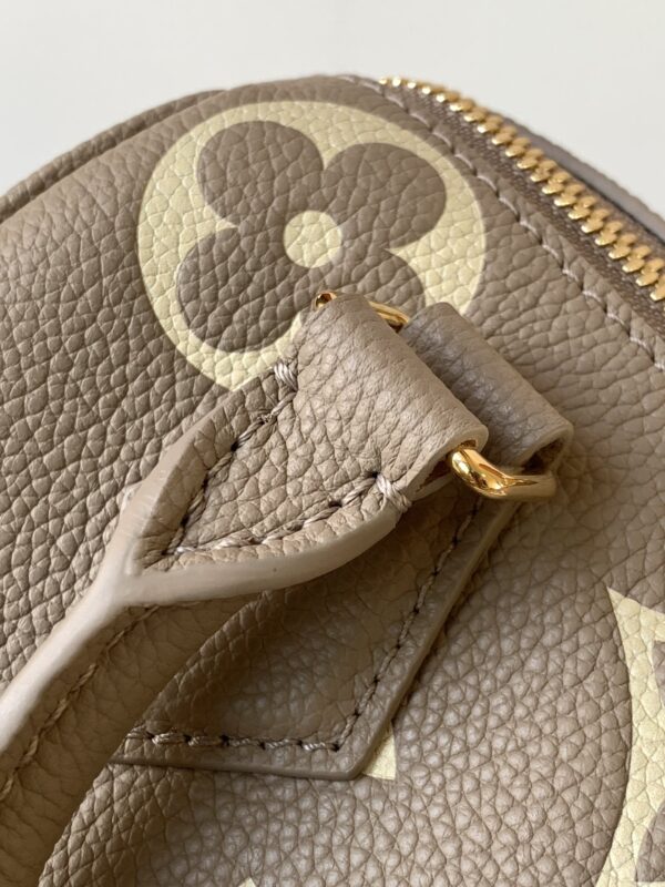 Speedy Bandoulière 20 Handbag
