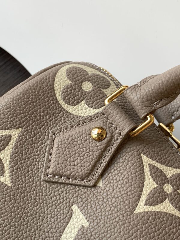 Speedy Bandoulière 20 Handbag