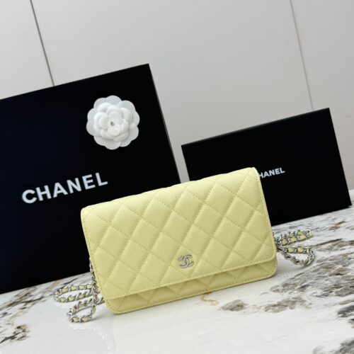 sy_no_983BFA006383D7D1D8DAC0550DFC64D8_0 Avocado Green Quilted Textured Calfskin WOC Chain Wallet