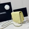 Avocado Green Quilted Textured Calfskin WOC Chain Wallet