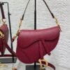 DIOR Women’s Grained Calfskin Saddle Bag