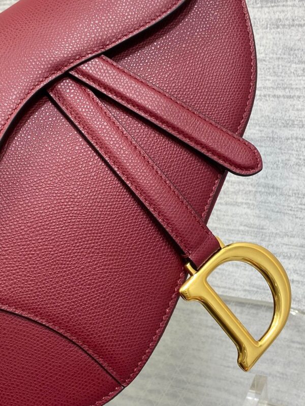 DIOR Women’s Grained Calfskin Saddle Bag