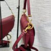 DIOR Women’s Grained Calfskin Saddle Bag