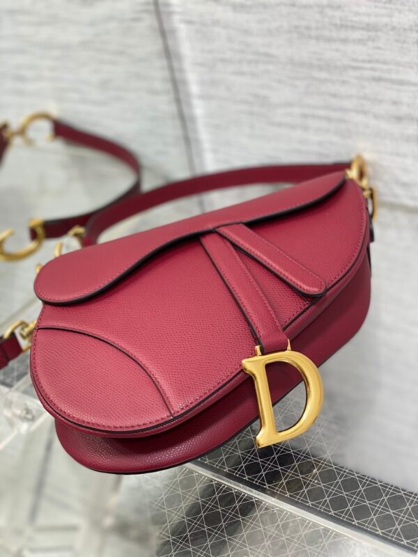 DIOR Women’s Grained Calfskin Saddle Bag