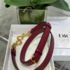 DIOR Women’s Grained Calfskin Saddle Bag