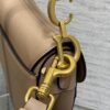 DIOR Women’s Grained Calfskin Saddle Bag