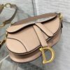 DIOR Women’s Grained Calfskin Saddle Bag