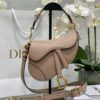 DIOR Women’s Grained Calfskin Saddle Bag