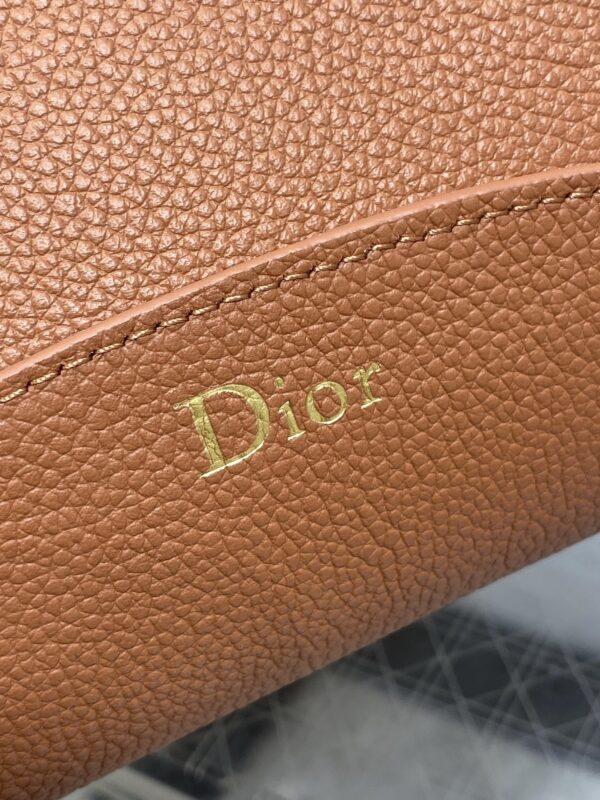 Dior Medaillon Bucket Bag – New Spring/Summer Calfskin Shoulder Bag