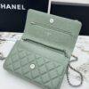 sy_no_A9EC87F09DFE8D767A5EF0908121ADEF_5 Green Quilted Textured Calfskin WOC Chain Wallet