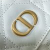 Dior Women's Medium Caro Backpack – Milk-colored Lambskin with Gold-tone CD Logo (2025 New Model)