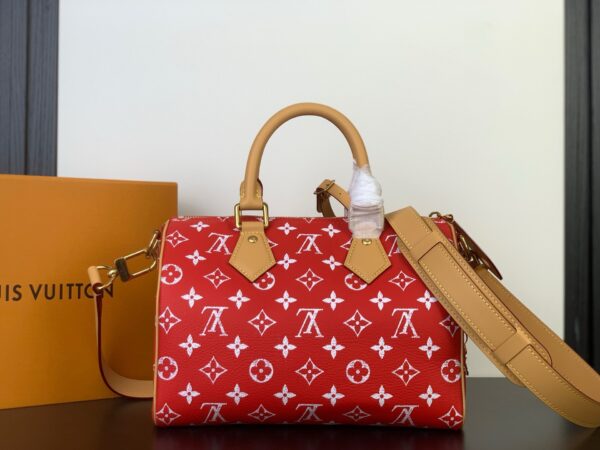 Speedy P9 Bandoulière 25 Handbag – Monogram Leather