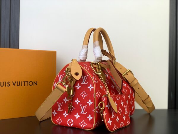 Speedy P9 Bandoulière 25 Handbag – Monogram Leather