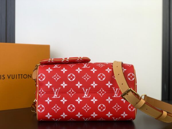 Speedy P9 Bandoulière 25 Handbag – Monogram Leather