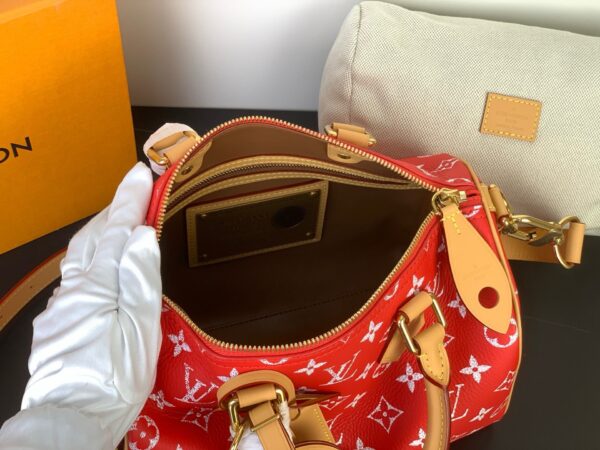 Speedy P9 Bandoulière 25 Handbag – Monogram Leather