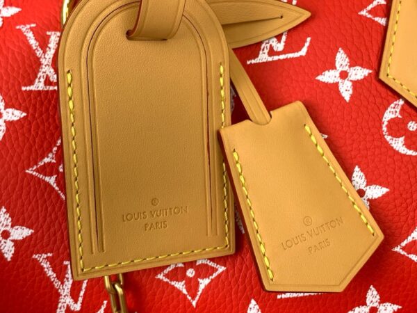 Speedy P9 Bandoulière 25 Handbag – Monogram Leather