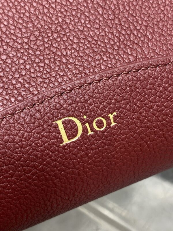 Dior Medaillon Bucket Bag – New Spring/Summer Calfskin Shoulder Bag