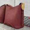 Dior Medaillon Bucket Bag – New Spring/Summer Calfskin Shoulder Bag