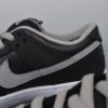 Nike SB Dunk Low Pro – Shadow