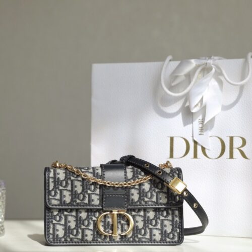 sy_no_E224A769DCC040B13F8686209B11BFFA_0 30 Montaigne Shoulder Bag – Oblique Canvas