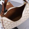 Ava Triomphe Shoulder Bag – Monogram Canvas