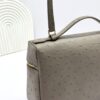 L27 Ostrich-embossed calfskin handbag, suitable for crossbody or hand-carry, taupe.