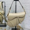 DIOR Women’s Grained Calfskin Saddle Bag