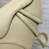 DIOR Women’s Grained Calfskin Saddle Bag