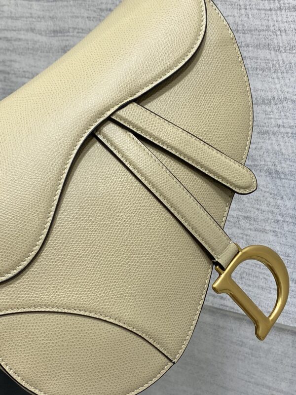 DIOR Women’s Grained Calfskin Saddle Bag