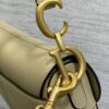 DIOR Women’s Grained Calfskin Saddle Bag