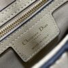 DIOR Women’s Grained Calfskin Saddle Bag