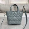Dior Toujours Small Vertical Tote Bag in Cannage Calfskin (Basket-style) – Shoulder & Crossbody