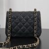 sy_no_FDC2239017A660E6E1894FE31DE85D85_1 Classic Flap Quilted Leather Mini Bag