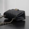 sy_no_FDC2239017A660E6E1894FE31DE85D85_7 Classic Flap Quilted Leather Mini Bag