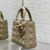 sy_no_FFBC861D7E1B18C8A1DC02B1C23ED8DD_5 Lady Four-Compartment Bow Bag