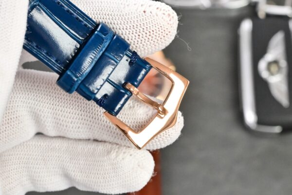 Patek Philippe Complex Function Timepiece Series Automatic Mechanical Movement 30 Meter Waterproof Men's Watch