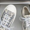 Dior Blue Oblique Canvas Platform Low-Top Sneaker