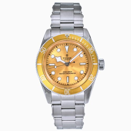 sy_no_3ED901CC5782EFF1C7C2D0CBBE72B741_0 TUDOR Blue Bay Series Automatic Mechanical Movement 200m Waterproof Unisex Swiss Watch