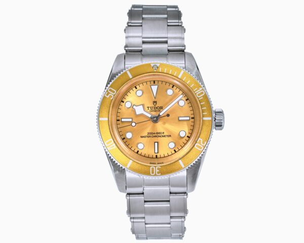 sy_no_3ED901CC5782EFF1C7C2D0CBBE72B741_0 TUDOR Blue Bay Series Automatic Mechanical Movement 200m Waterproof Unisex Swiss Watch