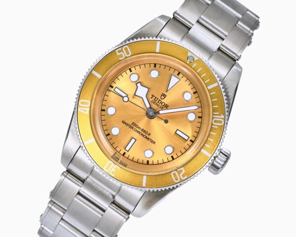 sy_no_3ED901CC5782EFF1C7C2D0CBBE72B741_1 TUDOR Blue Bay Series Automatic Mechanical Movement 200m Waterproof Unisex Swiss Watch