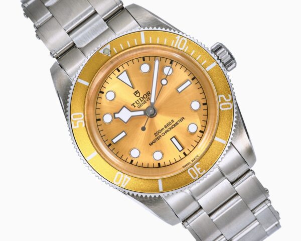 sy_no_3ED901CC5782EFF1C7C2D0CBBE72B741_2 TUDOR Blue Bay Series Automatic Mechanical Movement 200m Waterproof Unisex Swiss Watch