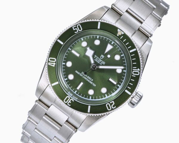 TUDOR Bi Wan series automatic mechanical movement, 200 meter waterproof, unisex