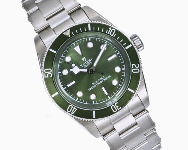 TUDOR Bi Wan series automatic mechanical movement, 200 meter waterproof, unisex