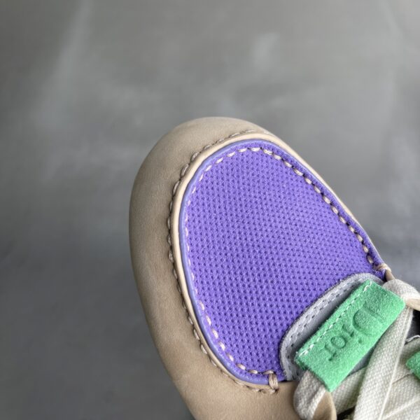 Dior Beige-Purple-Green Suede Mesh Mid-Top Sneaker