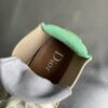 Dior Beige-Purple-Green Suede Mesh Mid-Top Sneaker