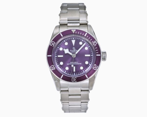 sy_no_A27B332DE1E9B04E55ABB209850559ED_0 - 副本 - 副本 TUDOR Bi Wan series automatic mechanical movement, 200 meter waterproof, unisex