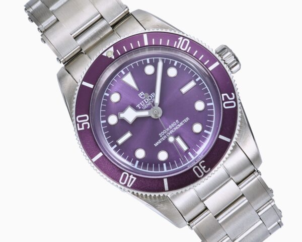 sy_no_A27B332DE1E9B04E55ABB209850559ED_1 - 副本 - 副本 TUDOR Bi Wan series automatic mechanical movement, 200 meter waterproof, unisex