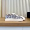 Dior Grey Oblique Canvas Low Sneaker